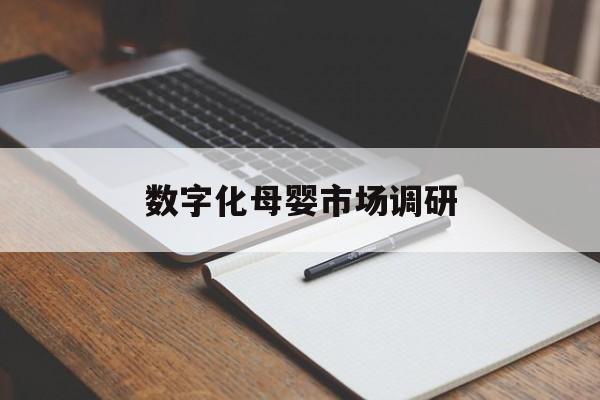 安庆市数字化母婴市场调研(数字化母婴市场调研报告)